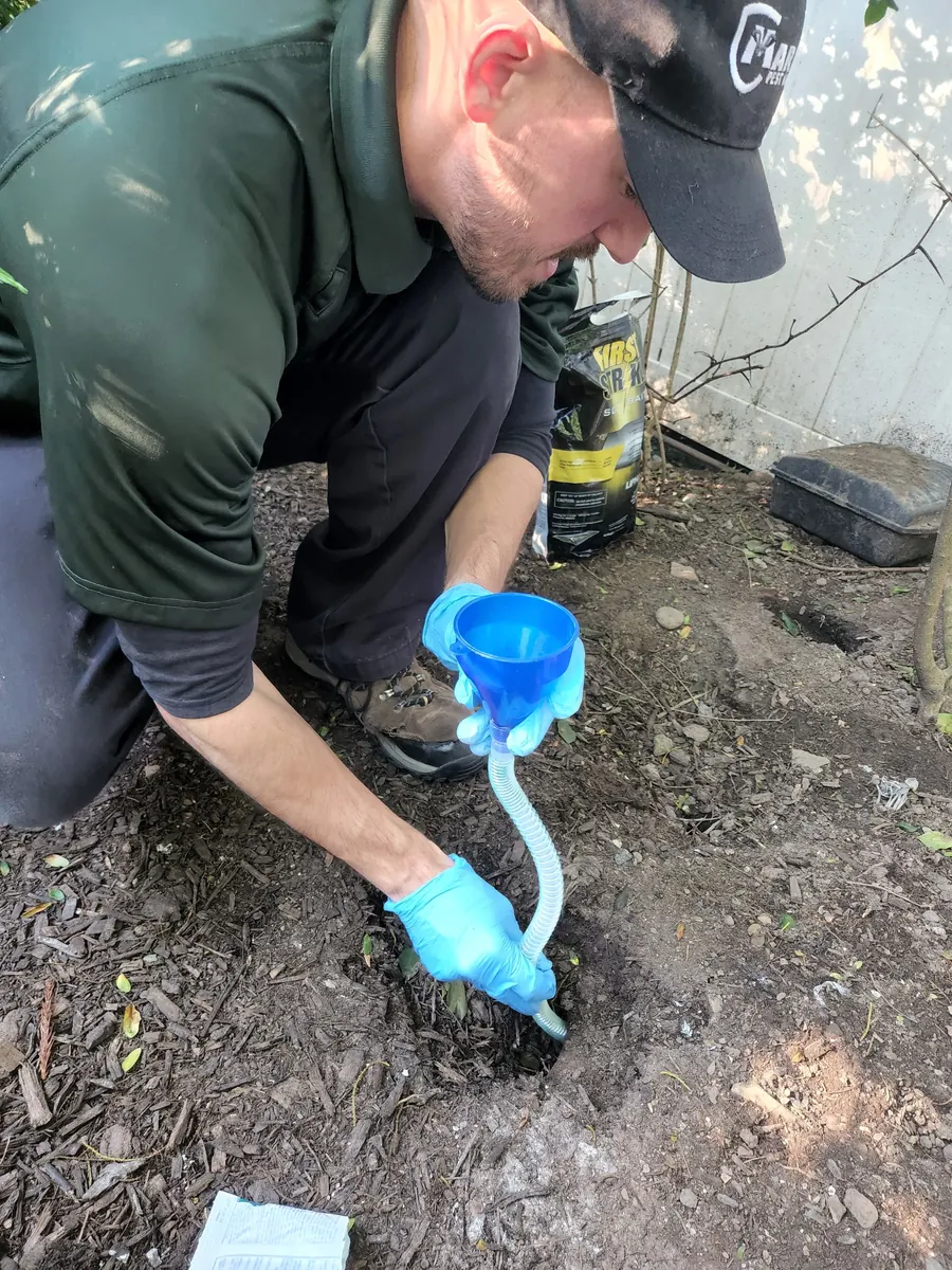 A Marrone technician pouring treatment into the soil beside a building